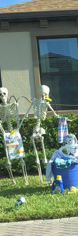 qnrik-halloween-skeletons-funny-ideas-17