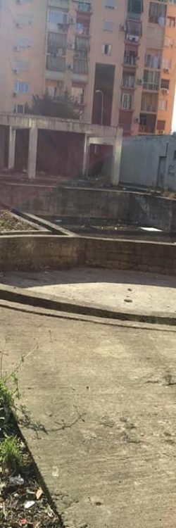 49384510_1924459147679805_2156267573379858432_n