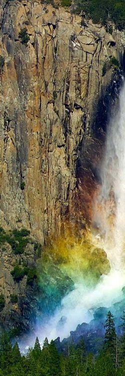 66a49b369842c4b03bb5ad181d0b2864