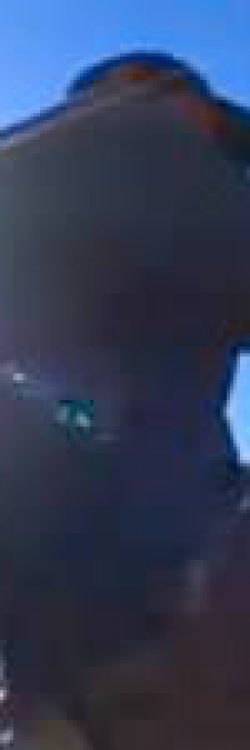 Njeriu që u bë skateboarder