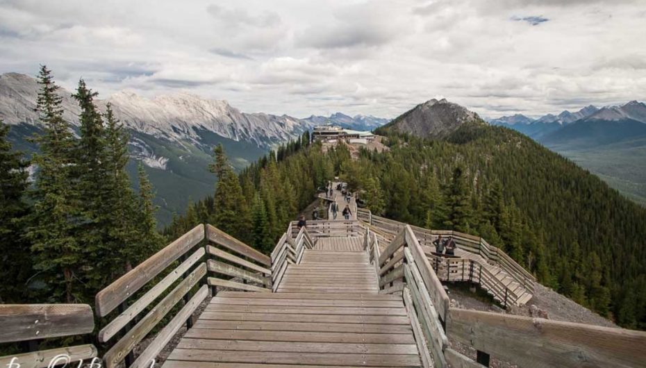 “Ata që guxojnë të dështojnë në masë të madhe, mund të arrijnë suksese të mëdha”