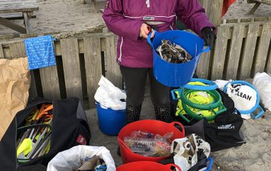 Gjyshja shpenzon gjithë vitin duke pastruar 52 plazhe