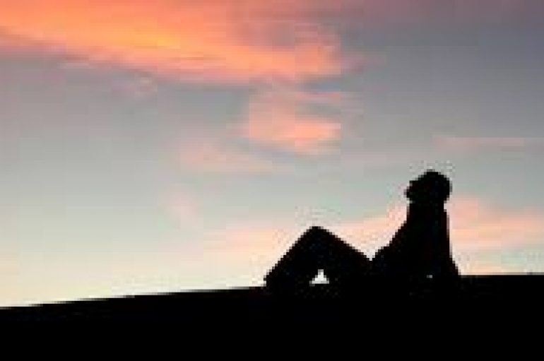 “Nje jetë e mirë është ajo që inspirohet nga dashuria dhe udhëzohet nga dija”