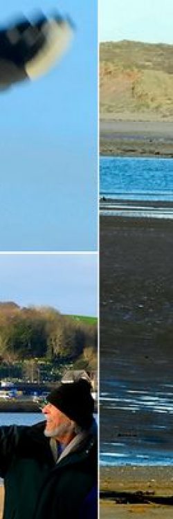 0_CAPTION-John-Sumner-80-with-his-friend-of-12-years-Chirpy-a-seagull-John-spends-everyday-with-o