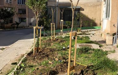 “Një lule për Sarandën”