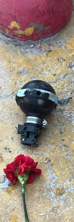 52716983_2203495289901212_3962309172548075520_n