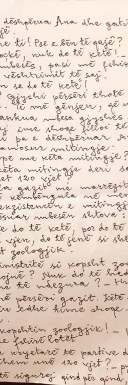 53075098_1192706070911037_8084217014828138496_n (1)