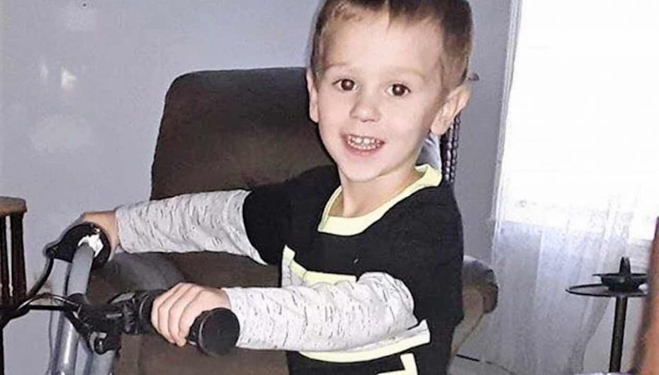 Humbi në pyll, 3 vjeçari tregon se i mbijetoi stuhisë falë ariut miqësor