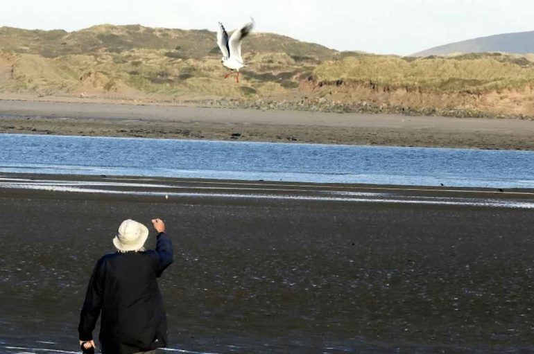 Pulëbardha viziton njeriun që e ka shpëtuar, çdo ditë në 12 vitet e fundit