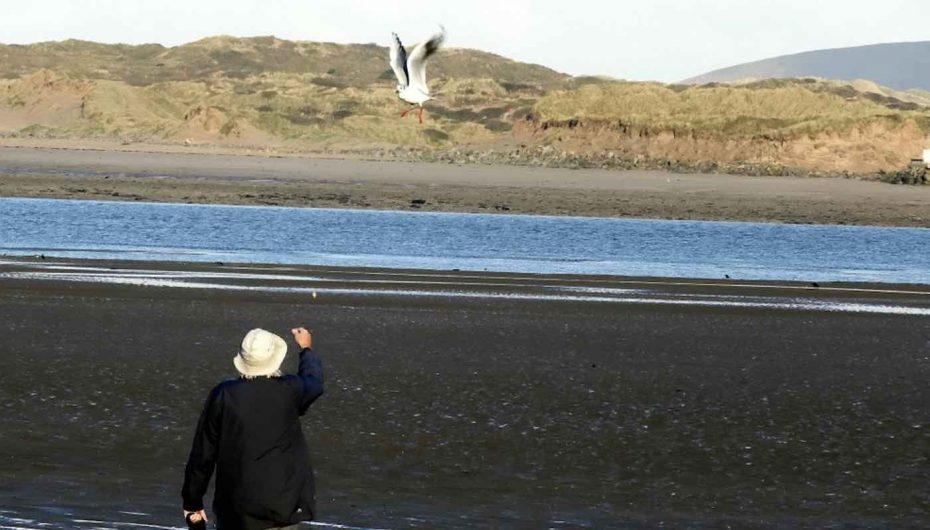 Pulëbardha viziton njeriun që e ka shpëtuar, çdo ditë në 12 vitet e fundit