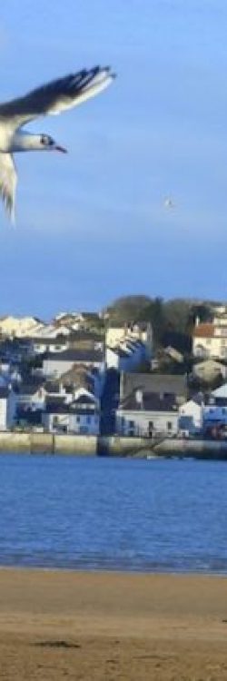 John-Sumner-and-Chirpy-With-Town-SWNS-600×427