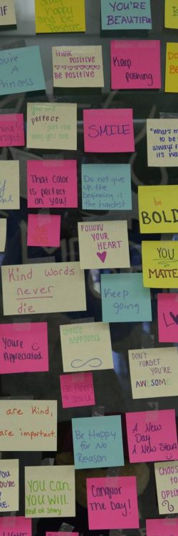 15042054_558944874299177_4359134546534841947_o