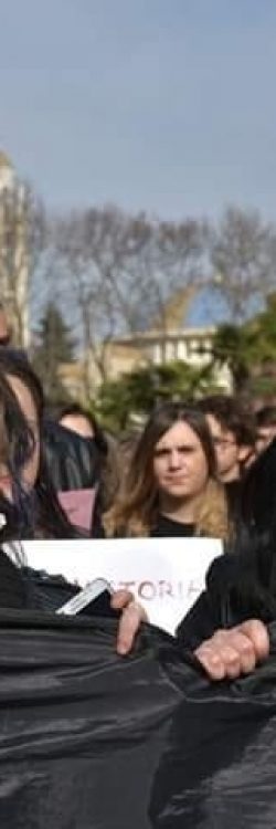 51861062_2319289534770350_937442625999339520_n