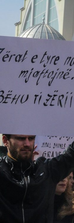 53117681_10212232948613175_6531952375911940096_n