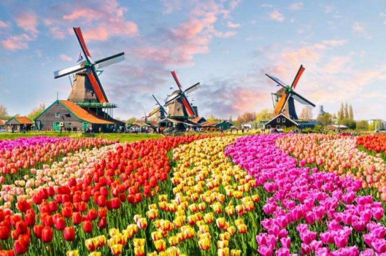 Vendi më i lumtur në botë në 2019