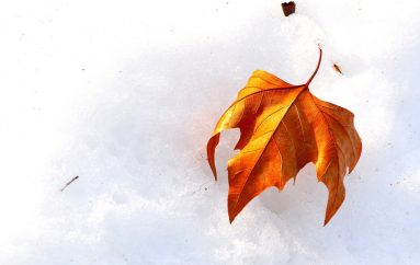 Të jetosh me natyrën