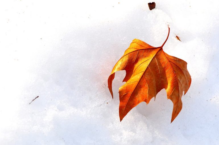 Të jetosh me natyrën