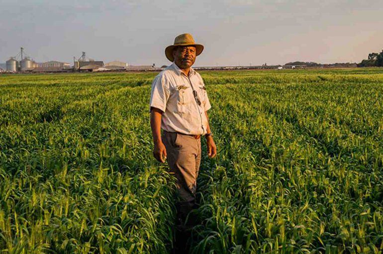 Banka Botërore dhuron 22 miliardë dollarë për ndryshimet klimatike