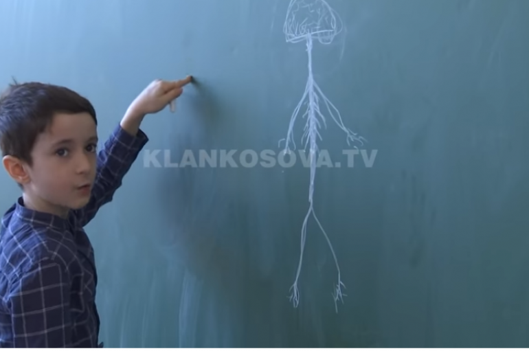 Nivel inteligjence mbi mesetaren, 8 vjeçari shqiptar vë në vështirësi edhe mësuesit