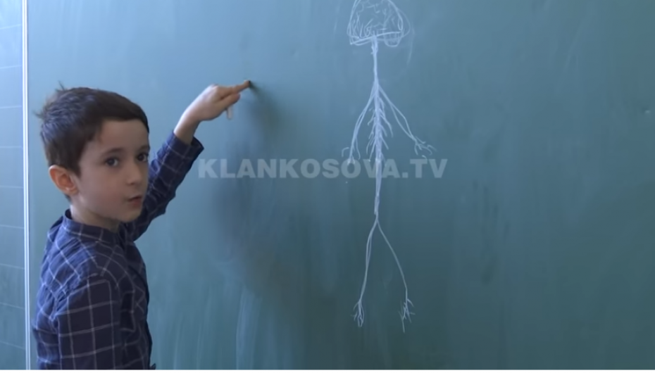 Nivel inteligjence mbi mesetaren, 8 vjeçari shqiptar vë në vështirësi edhe mësuesit
