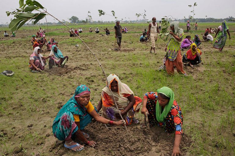 NASA e konfirmon, toka është më e gjelbër sot se 20 vjet më parë