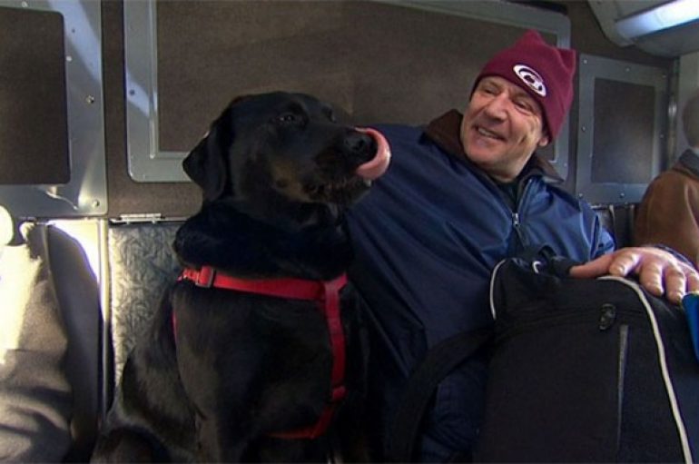 Qeni udhëton me autobus i vetmuar çdo ditë, për të shkuar në park