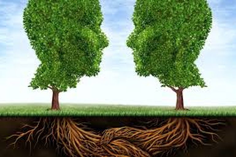 Pemët komunikojnë me njëra-tjetrën