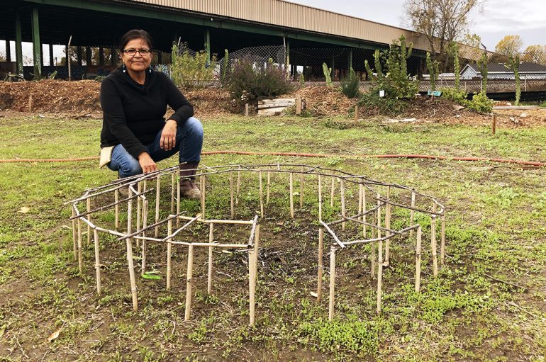 Gratë që ringjallin tokën