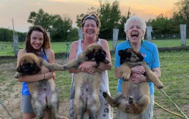 Ky është një nga vendet më të bukura në SHBA