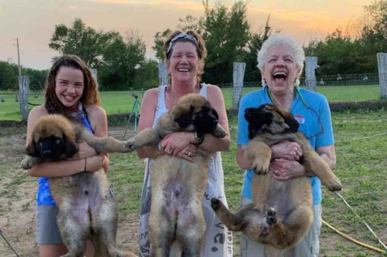 Ky është një nga vendet më të bukura në SHBA