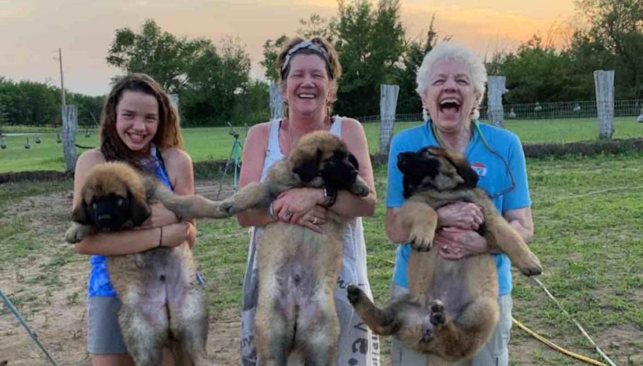 Ky është një nga vendet më të bukura në SHBA