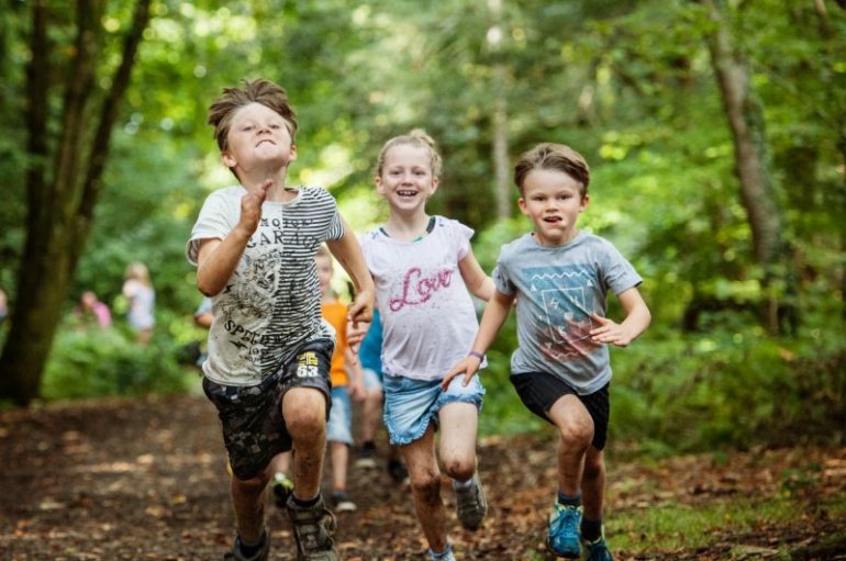 Imuniteti, inteligjenca e trupit