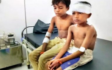 14-vjeçari lufton me leopardin dhe shpëton kushëririn e tij 7-vjeçar