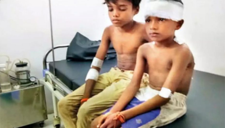 14-vjeçari lufton me leopardin dhe shpëton kushëririn e tij 7-vjeçar