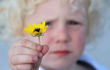 Konkurs fotosh që përcjellin mirësi