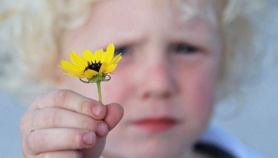 Konkurs fotosh që përcjellin mirësi