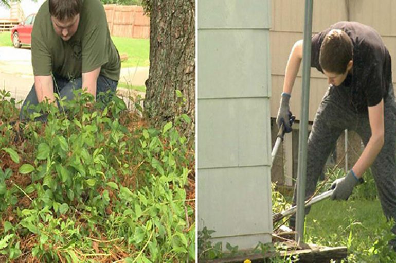 Shkolla stimulon nxënësit që ndihmojnë të moshuarit me punë fizike