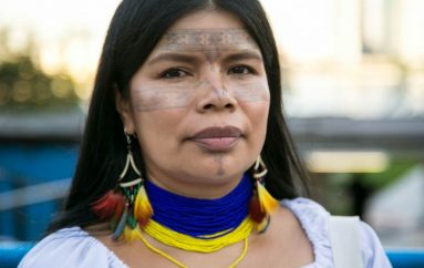 Gratë që po rrezikojnë jetën e tyre për të shpëtuar pyllin më të madh në botë