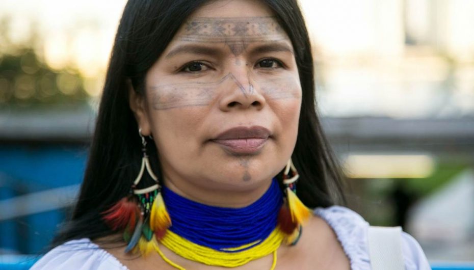 Gratë që po rrezikojnë jetën e tyre për të shpëtuar pyllin më të madh në botë