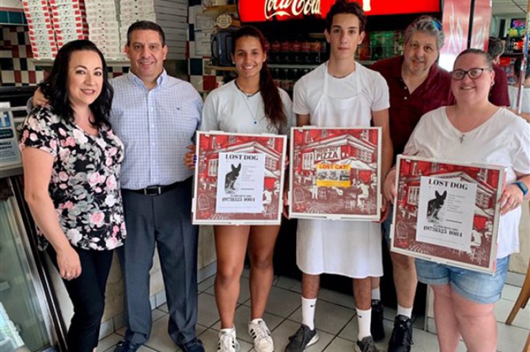 Ky dyqan picash po ndihmon njerëzit të gjejnë kafshët e tyre të humbura