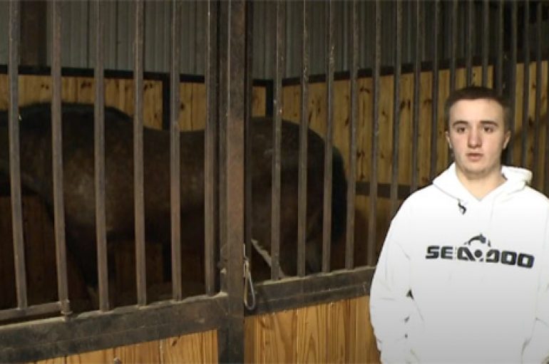 Adoleshenti shpëton 14 kuaj nga flakët