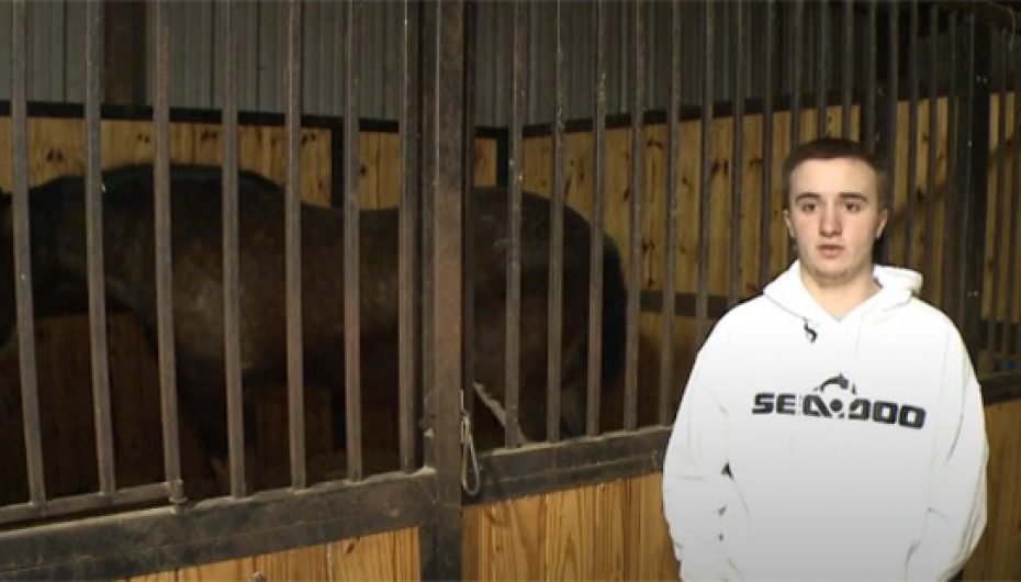 Adoleshenti shpëton 14 kuaj nga flakët