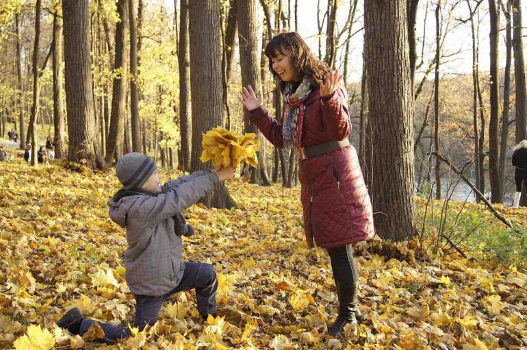 Studimi: Parqet e qytetit të mbushura me pemë i bëjnë njerëzit aq të lumtur sa Dita e Krishtëlindjes