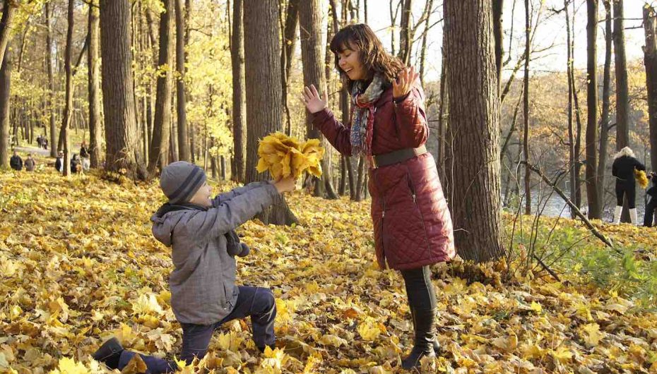 Studimi: Parqet e qytetit të mbushura me pemë i bëjnë njerëzit aq të lumtur sa Dita e Krishtëlindjes