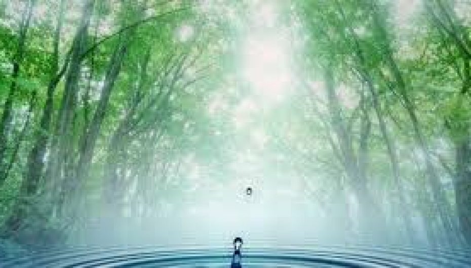 Shkenca shpjegon sesi qëndrimi afër ujit mund të ndryshojë shëndetin pozitivisht