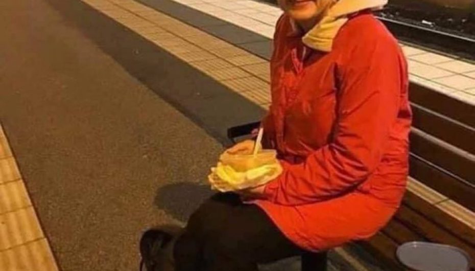 Ministrja suedeze shkon në punë me tren