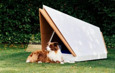 Ford ndërton një shtëpi qenushësh që zhduk zhurmën për këlyshët në ankth