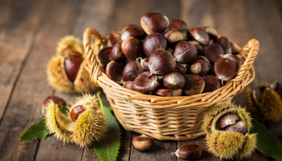 Gështenja kundër ankthit, vetitë që përfitoni nga konsumi i tyre