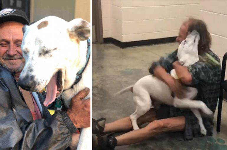 Burri i pastrehë ribashkohet mes lotësh me qenin e tij të humbur