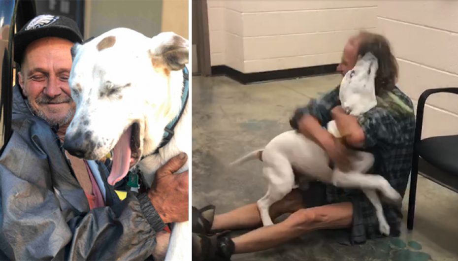 Burri i pastrehë ribashkohet mes lotësh me qenin e tij të humbur